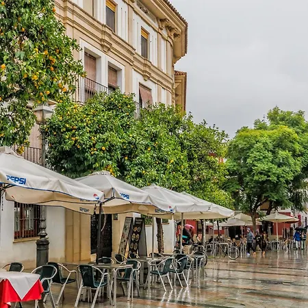 Violeta & Centro Apartment