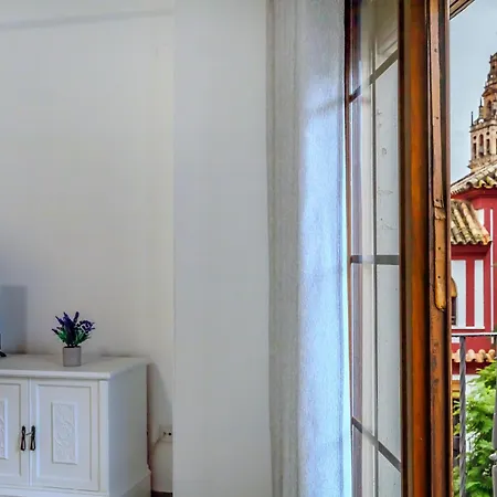 Apartment Violeta & Centro *