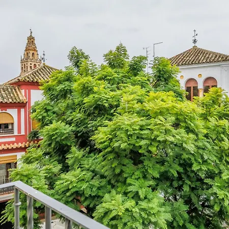 Violeta & Centro Apartment Cordoba