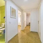 Apartment Violeta & Centro *